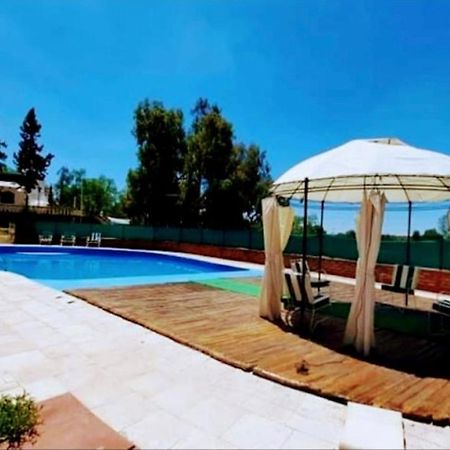 Villa Marini Villa Celestino المظهر الخارجي الصورة